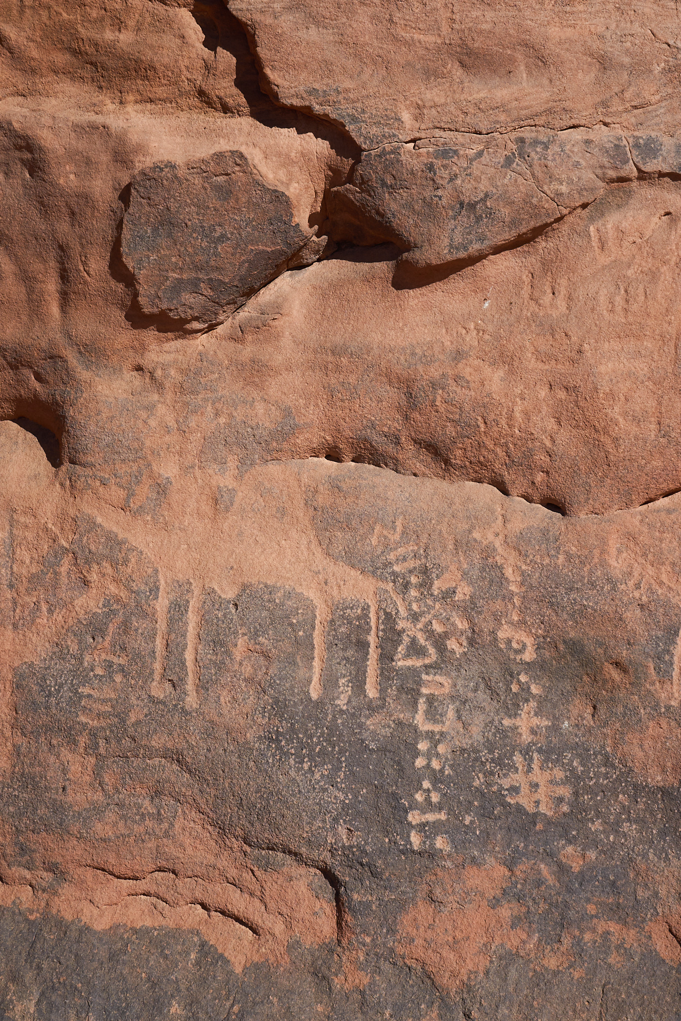 Confidences Nomades - Circuit Djanet – Tadrart Rouge au cœur des dunes et des gravures