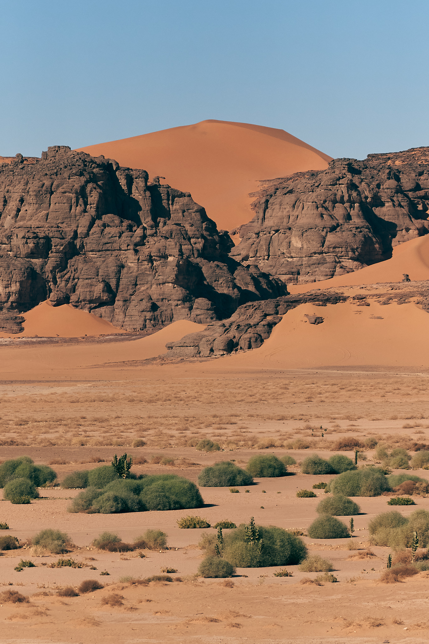Confidences Nomades - Circuit Djanet – Tadrart Rouge au cœur des dunes et des gravures