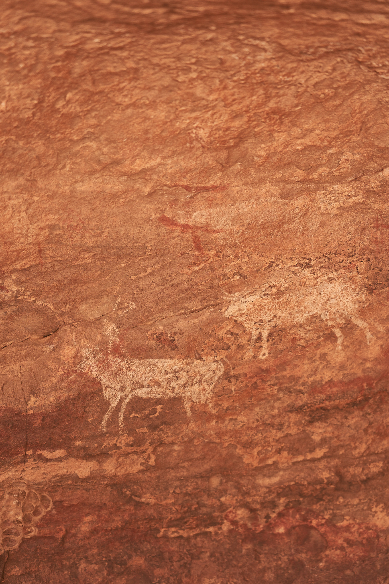 Confidences Nomades - Circuit Djanet – Tadrart Rouge au cœur des dunes et des gravures