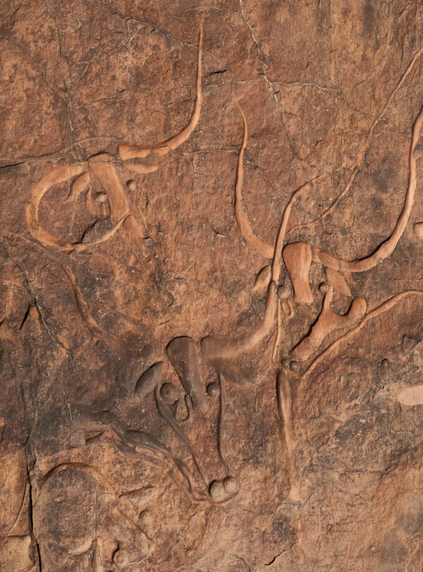 Confidences Nomades - Circuit Djanet – Tadrart Rouge au cœur des dunes et des gravures