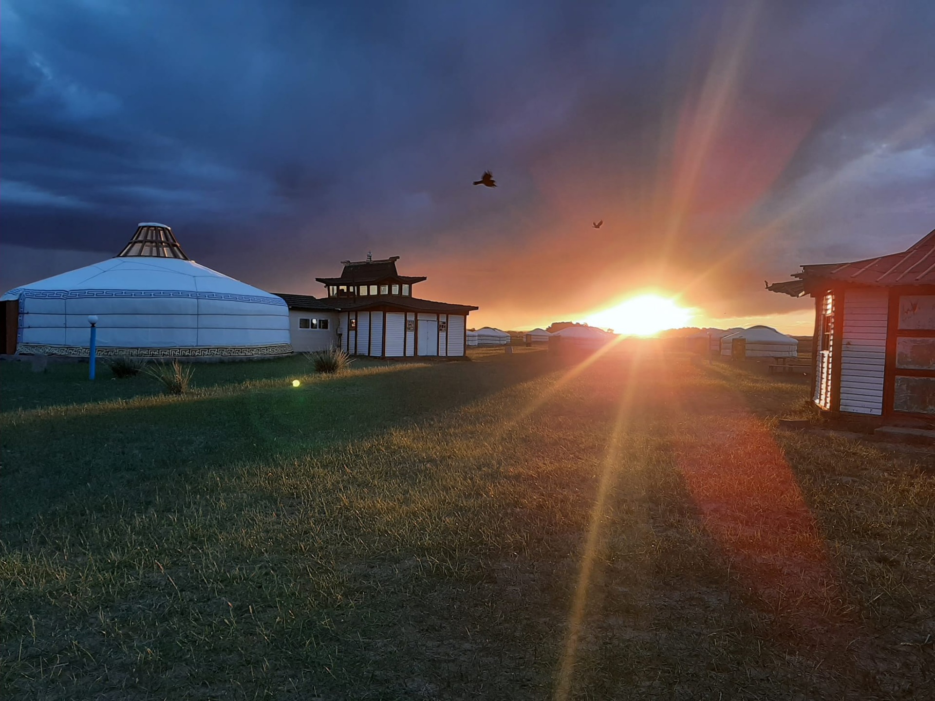 Confidences Nomades - Voyage chamanique en Mongolie 9 jours – Khogno Khan : dunes, chameliers et transition de paysage Parc national de Khogno Khan (Mini-Gobi)