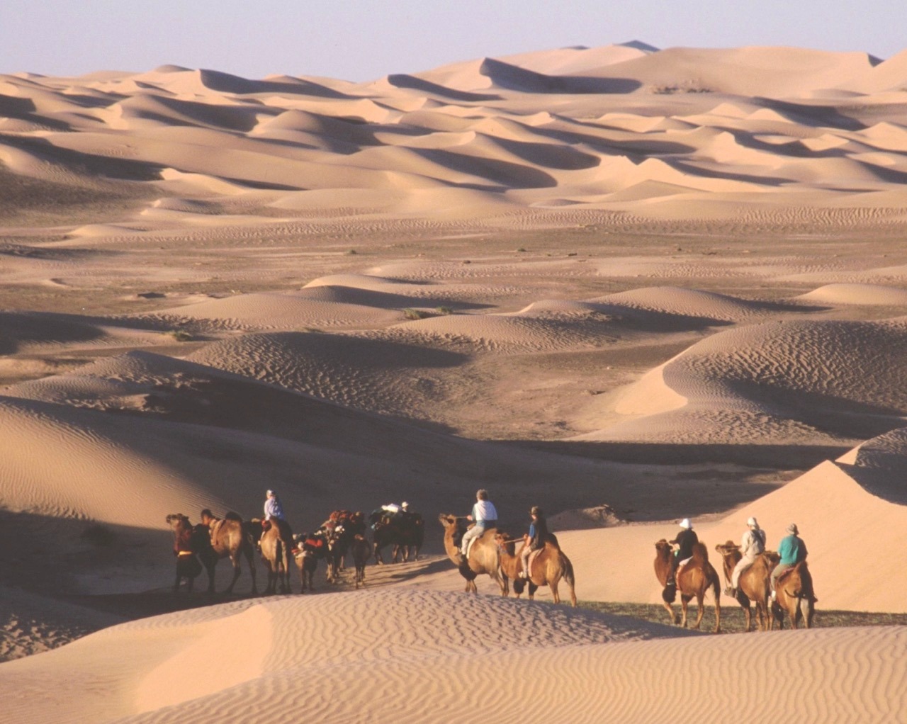 Confidences Nomades - Voyage chamanique en Mongolie 9 jours – Khogno Khan : dunes, chameliers et transition de paysage Parc national de Khogno Khan (Mini-Gobi)