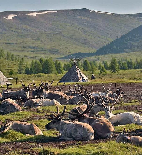 Confidences Nomades Mongolie Origins : Taïga & Lac Khövsgöl