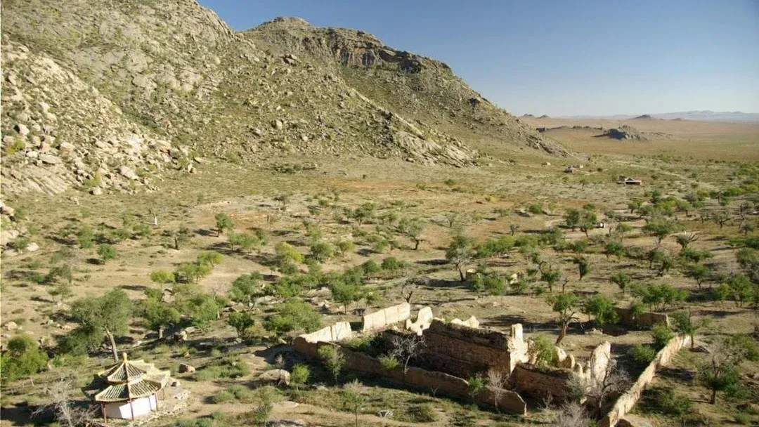 Confidences Nomades - Voyage chamanique en Mongolie 9 jours – Khogno Khan : dunes, chameliers et transition de paysage Parc national de Khogno Khan (Mini-Gobi)