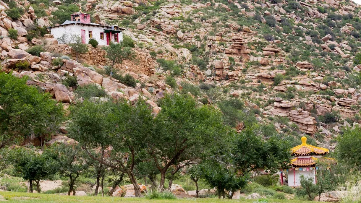 Confidences Nomades - Voyage chamanique en Mongolie 9 jours – Khogno Khan : dunes, chameliers et transition de paysage Parc national de Khogno Khan (Mini-Gobi)