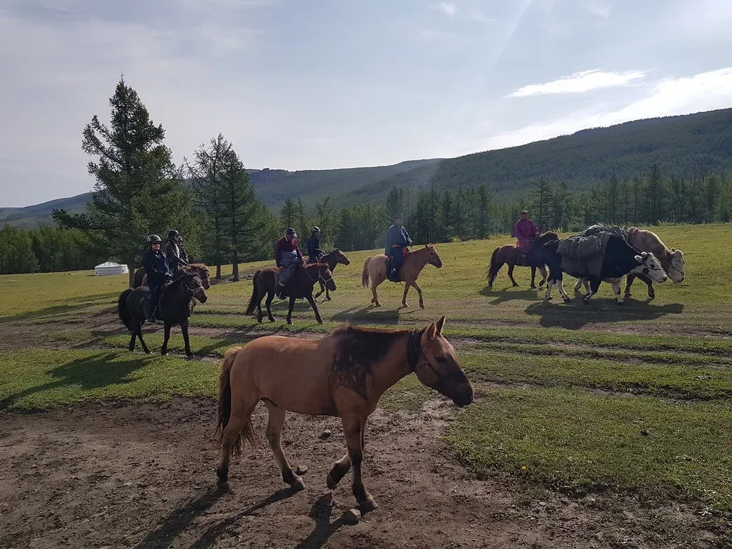 Confidences Nomades - Voyage chamanique en Mongolie 9 jours – Cheval, territoire et cascade de l’Orkhon