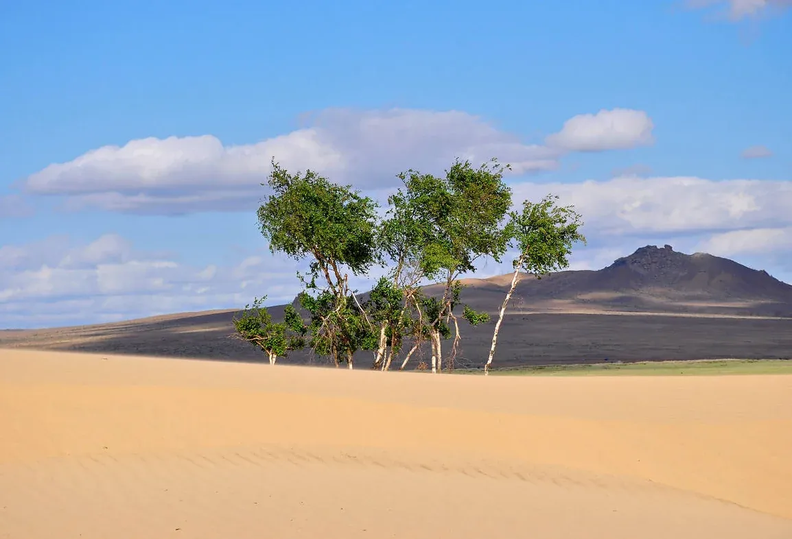 Confidences Nomades - Voyage chamanique en Mongolie 9 jours – Khogno Khan : dunes, chameliers et transition de paysage Parc national de Khogno Khan (Mini-Gobi)