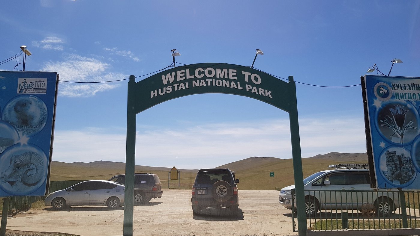 Confidences Nomades - Voyage chamanique en Mongolie 9 jours khustai_national_park