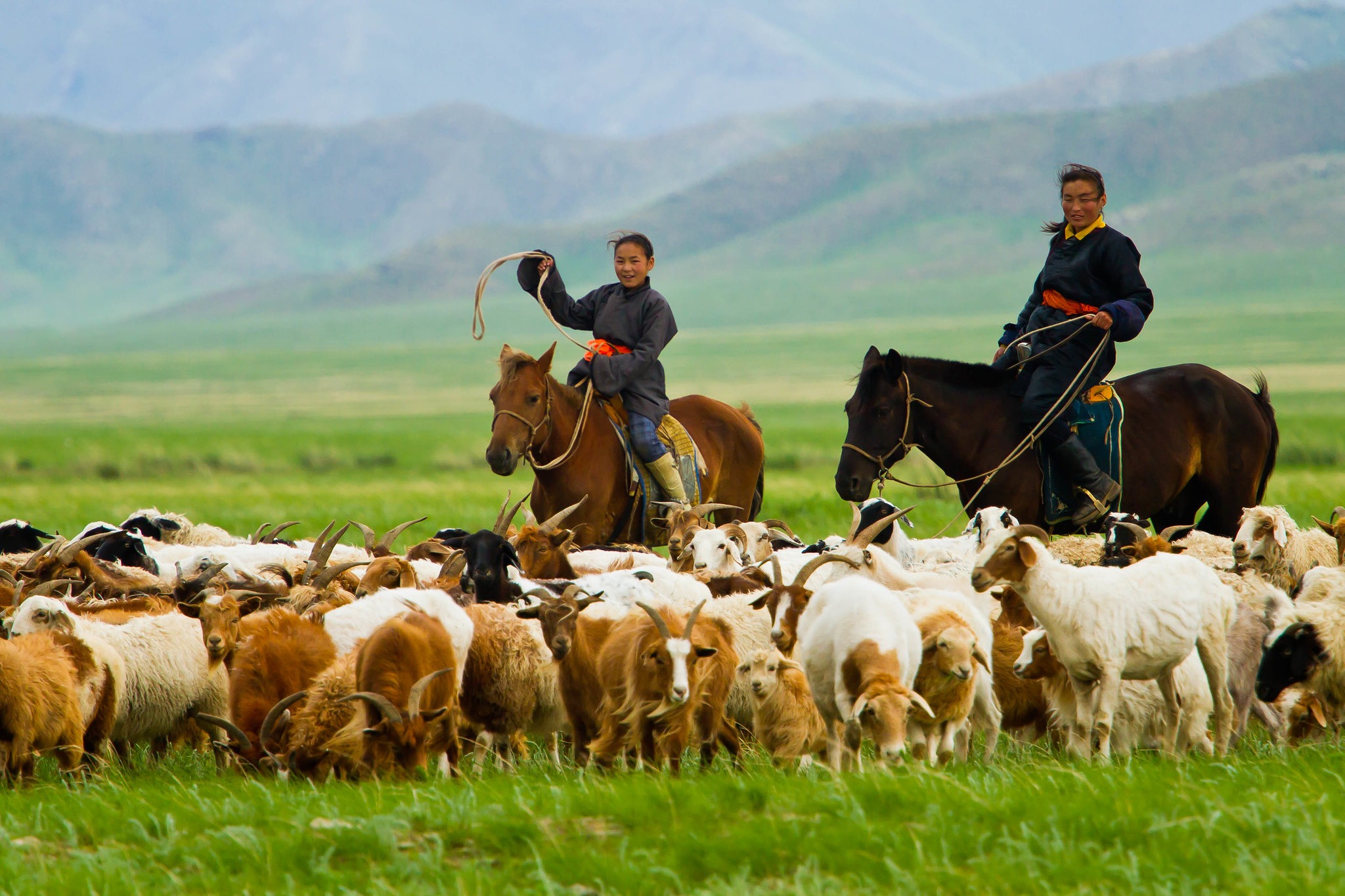 Confidences Nomades - Voyage chamanique en Mongolie 9 jours – Entrer dans la vie nomade Vallée de l’Orkhon (UNESCO)