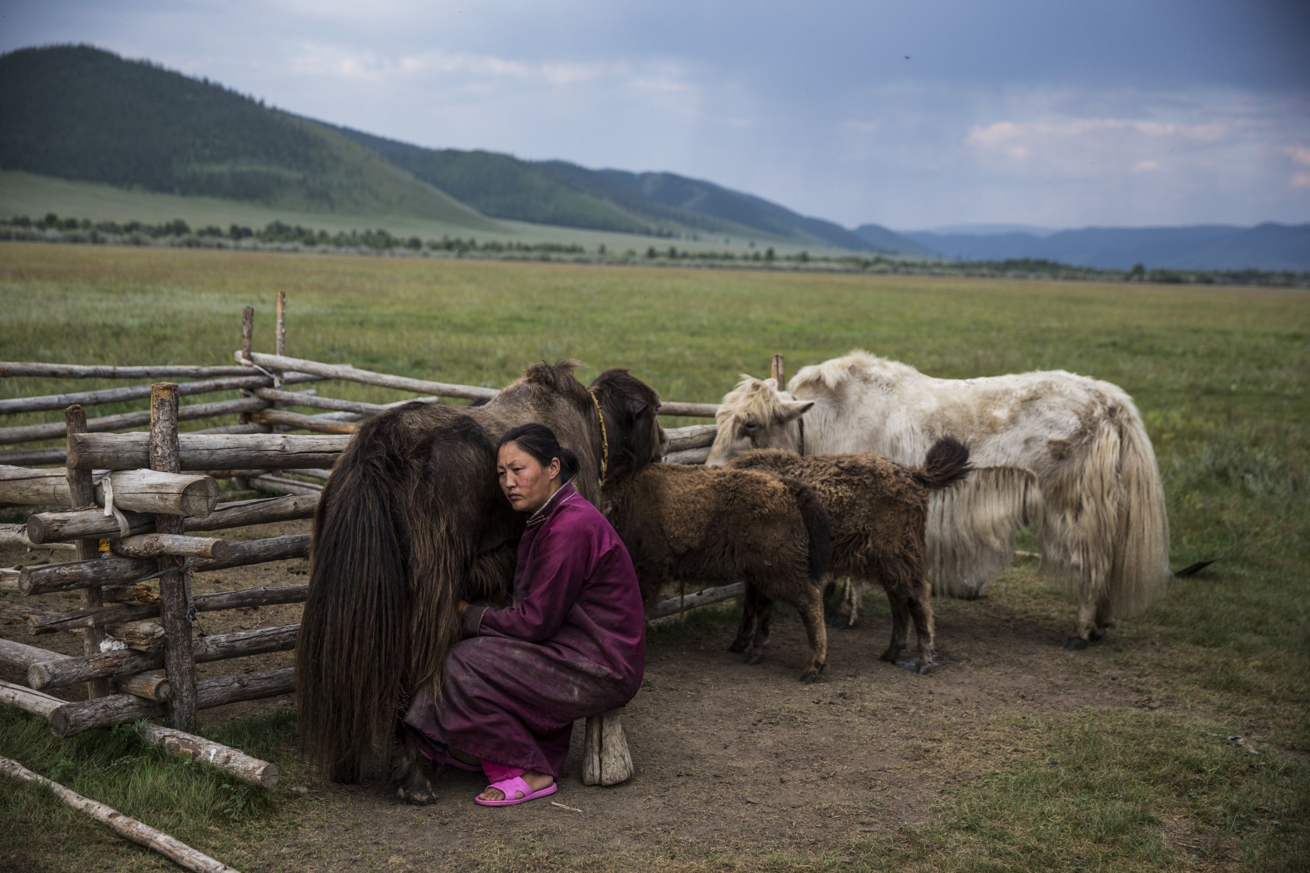 Confidences Nomades - Voyage chamanique en Mongolie 9 jours – Entrer dans la vie nomade Vallée de l’Orkhon (UNESCO)
