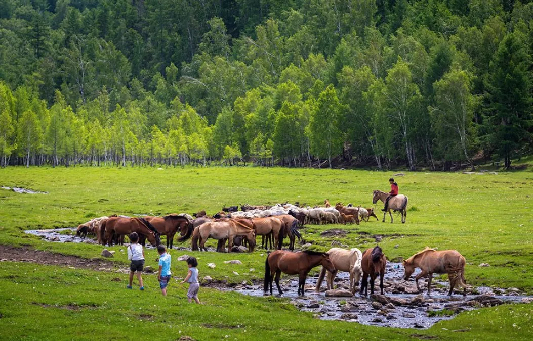 Confidences Nomades - Voyage chamanique en Mongolie 9 jours – Entrer dans la vie nomade Vallée de l’Orkhon (UNESCO)