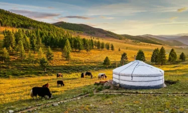 Confidences Nomades - Voyage chamanique en Mongolie 9 jours – Entrer dans la vie nomade Vallée de l’Orkhon (UNESCO)