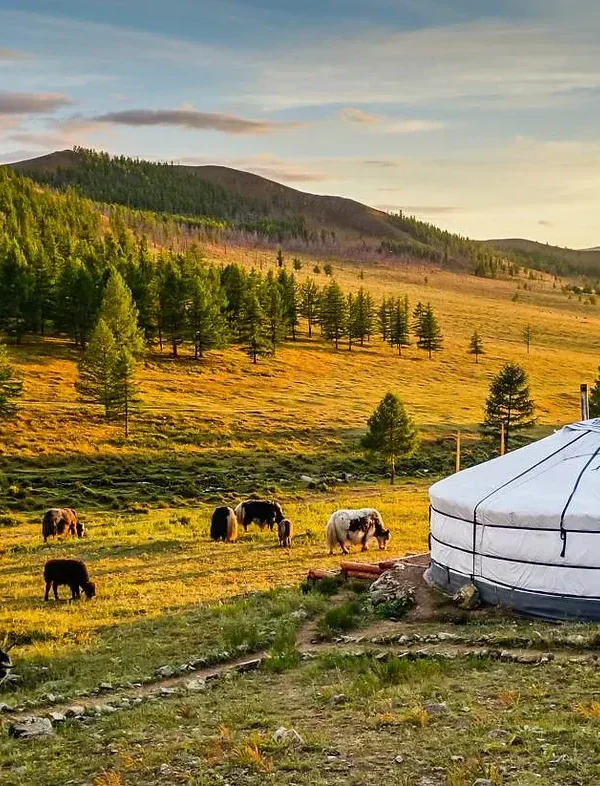 Confidences Nomades - Voyage chamanique en Mongolie 9 jours – Entrer dans la vie nomade Vallée de l’Orkhon (UNESCO)