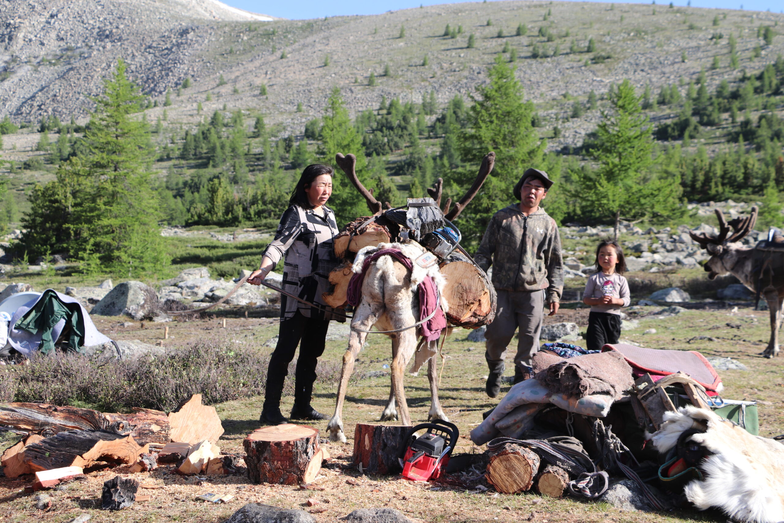 confidences nomades immersion tsaatan